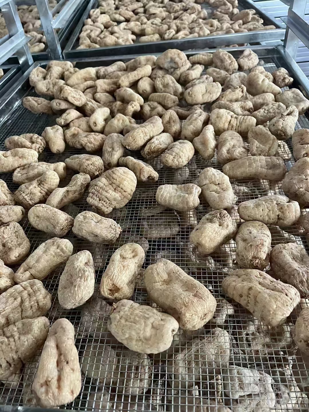 微信图片_20240105151752.jpg